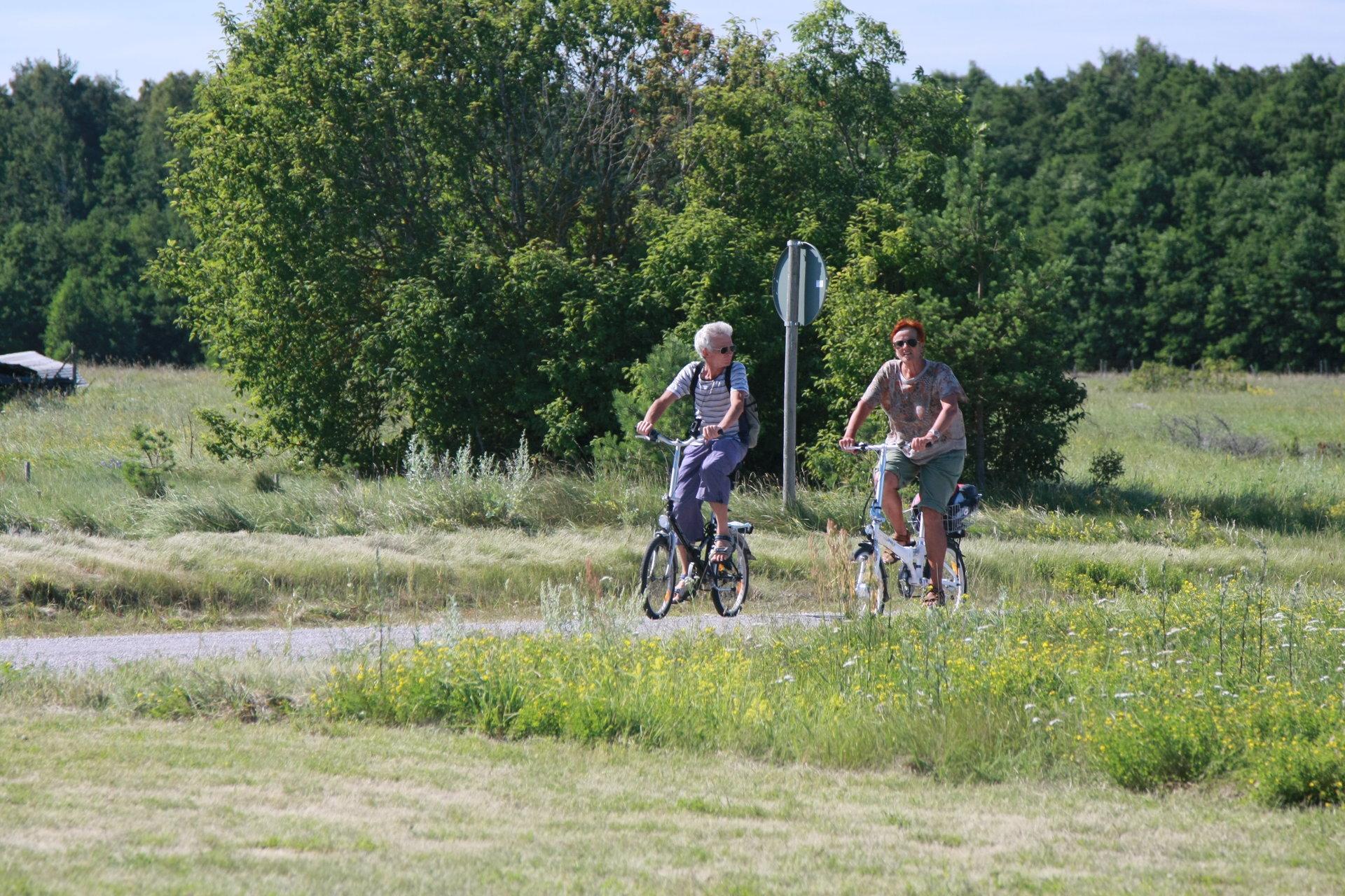 Bicycle tour on Vormsi Island - Visit Haapsalu